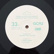 Load image into Gallery viewer, Green Cloud : Do What The F*k U Like (12")
