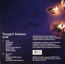 Load image into Gallery viewer, Teengirl Fantasy : 8AM (LP, Album)