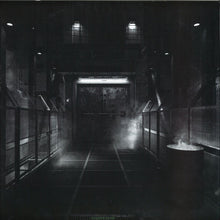 Load image into Gallery viewer, Leonce : Insurgency (12")