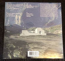 Load image into Gallery viewer, Mr. Mitch (2) : Devout (2xLP)