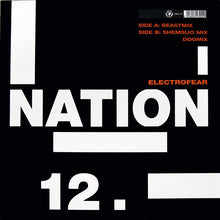 Load image into Gallery viewer, Nation 12 : Electrofear (12")