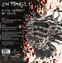 Load image into Gallery viewer, Shpongle : Divine Moments Of Truth (12")