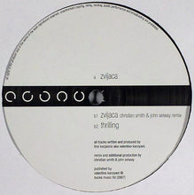 Load image into Gallery viewer, Valentino Kanzyani : Zvijaca (12")