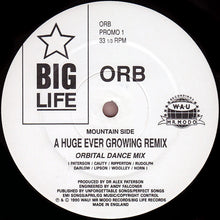 Load image into Gallery viewer, Orb* : A Huge Ever Growing Remix (12", Promo)