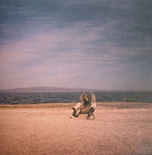 Load image into Gallery viewer, Minimal Violence : Acid Lakes (12")