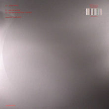 Load image into Gallery viewer, Nina Kraviz : Pochuvstvui (12")