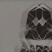 Load image into Gallery viewer, Tremble (5) : Vibes Deh Bout (12")