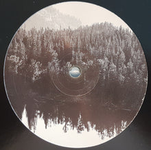 Load image into Gallery viewer, Guesswerk, Onethird : Falling (12")