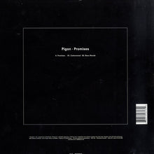Load image into Gallery viewer, Pigon : Promises (12")
