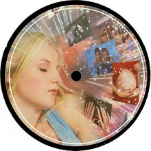 Load image into Gallery viewer, The Mole : Ombudsman (12")
