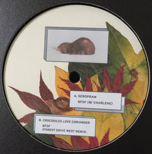 Load image into Gallery viewer, Elise (26) : Leaves From Yoyogi (12", EP)