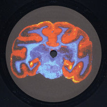 Load image into Gallery viewer, Rastaliens : Unidentified Spiecies / Freak Booster (12")