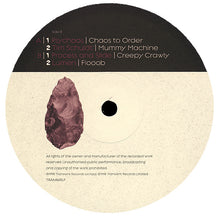 Load image into Gallery viewer, Various : Transient Six (Theory Of Evolution) (2xLP, Comp)