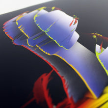 Load image into Gallery viewer, Visible Cloaks : Lex (12")