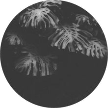Load image into Gallery viewer, Ben Kaczor : Casia EP (12", EP)