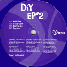 Load image into Gallery viewer, DiY : EP #2 (12", EP)