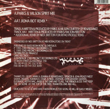 Load image into Gallery viewer, Ritmo De Vida : Havara (12")