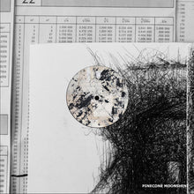 Load image into Gallery viewer, Various : PCMSV019 (12", EP)