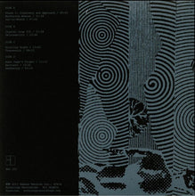 Load image into Gallery viewer, The Nightcrawlers (2) : The Biophonic Boombox Recordings (2xLP, Comp)