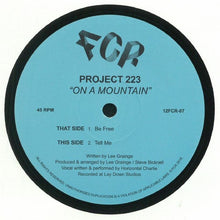 Load image into Gallery viewer, Project 223 : On A Mountain (12")