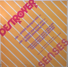 Load image into Gallery viewer, Destroyer : Senses (12")