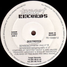 Load image into Gallery viewer, Destroyer : Senses (12")