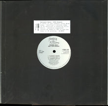 Load image into Gallery viewer, Geoffrey Williams : Summer Breeze (12", Promo)