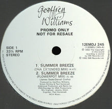 Load image into Gallery viewer, Geoffrey Williams : Summer Breeze (12", Promo)