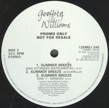 Load image into Gallery viewer, Geoffrey Williams : Summer Breeze (12", Promo)