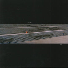 Load image into Gallery viewer, Joe Talia : Tint (LP, Album)