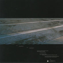 Load image into Gallery viewer, Joe Talia : Tint (LP, Album)