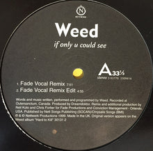 Load image into Gallery viewer, Weed : If Only U Could See (12")
