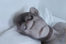 Load image into Gallery viewer, Laurie*, Olly* : Ample Profanity (LP, Album)