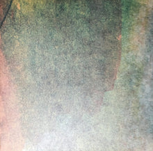 Load image into Gallery viewer, Anna Meredith, Antonio Vivaldi, Scottish Ensemble : Anno: Four Seasons (2xLP, Album)