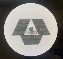 Load image into Gallery viewer, Charasmatix : The Root EP (12", EP, Promo, W/Lbl)