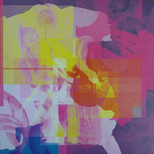 Load image into Gallery viewer, aphtc : When Grounds Shift (12")