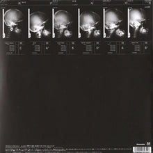 Load image into Gallery viewer, Dragon Ash Feat. Rappagariya : Deep Impact (Remixed By DJ Krush) (12")