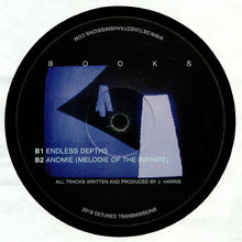 Load image into Gallery viewer, Books (2) : Station (LP Sampler) (12", Smplr)