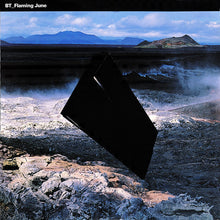 Load image into Gallery viewer, BT : Flaming June (12", Single)