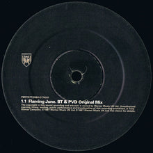 Load image into Gallery viewer, BT : Flaming June (12", Single)