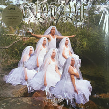 Load image into Gallery viewer, Liars : Titles With The Word Fountain (TFCF Deluxe Edition) (LP, Album, Ltd, Gre)