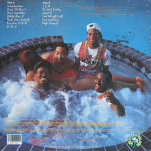 Load image into Gallery viewer, The 2 Live Crew : Move Somthin' (LP, Album)