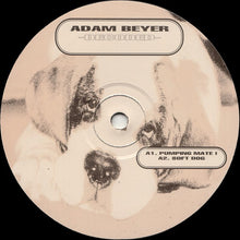 Load image into Gallery viewer, Adam Beyer : Decoded (2xLP, Album)