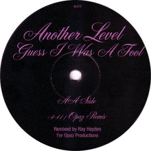Load image into Gallery viewer, Another Level : Guess I Was A Fool (12")