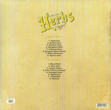 Load image into Gallery viewer, Metal Fingers : Special Herbs Vols 3&4 (2xLP, Comp, RE)