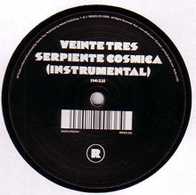 Load image into Gallery viewer, Veinte Tres : Serpiente Cosmica (12")