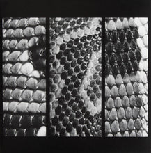 Load image into Gallery viewer, Slow White Fall : Total EP (12", EP)