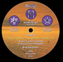 Load image into Gallery viewer, Evolution (2) : Oscillating Phenomena (2x12", Album)