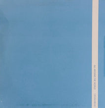 Load image into Gallery viewer, Delusion (4) Ft Jenna C : Never Gunna Let You Go (12")