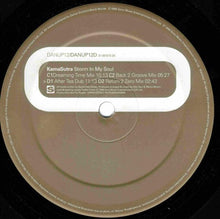 Load image into Gallery viewer, Kamasutra : Storm In My Soul (2x12", Promo)